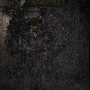 OBRA “ENVUELTO EN LA SOMBRA”