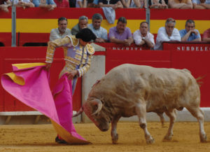 Una media en la Alhambra
